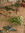member photo member photo