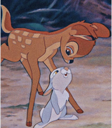 Suri