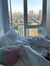 Sofie R...