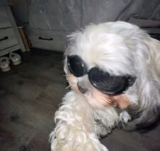 Bea
