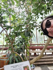 Камелия Пенкова