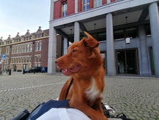Daan De Wolf