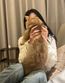 ‧₊˚ ☁️⋅Jae ₊˚ෆ