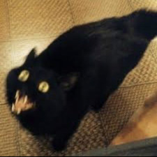 fran
