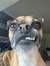 Caleb S...