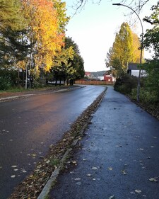 Aydi
