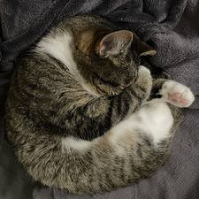 Samantha