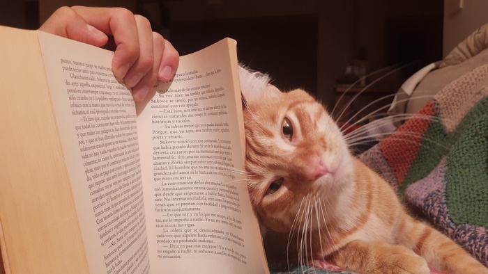 Goodreads profile picture for @miguelin