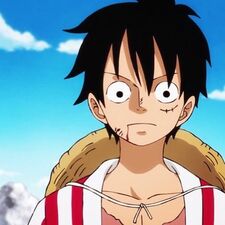 Luffy D. Monkey