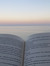 ariivii...