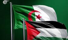 Tareksimoud فلسطين