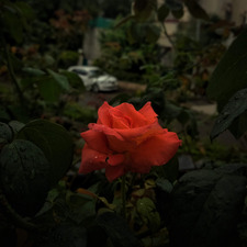 Arjungopal Manojdharan