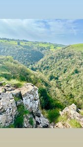 CoffeeAddictedBookworm 