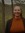 Iselin Haga