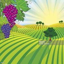 Madam Grape