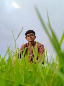 Muhammad Saiful