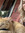 Danna P | 2 comments