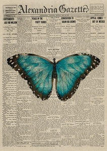 Free reader CO
