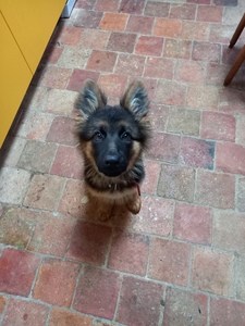 Ben