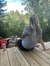 Traci