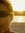 Kevin Bachar | 2 comments
