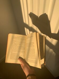 Occasional Reader✨