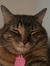Riane L...