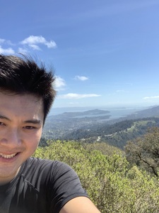 Dan Nguyen