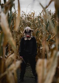 Sabrina Vincent (sabrinathegroomer) (504 books)