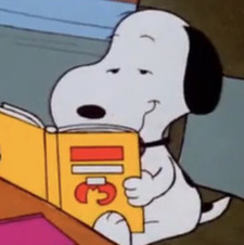 eveleen ୨୧ ₊ ⊹