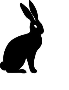 Shadoe Hare