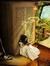 Prachi 