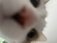 kristineee 