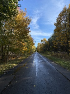 &#x1f3a7;&#x1f490;&#x1fac0;&#x1f56f;️&#x1fabf;