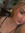 Cherie