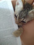 Alexand...