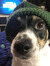 trevor