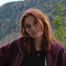 Sarah Auer