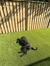 Zoey Fi...