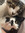 member photo member photo