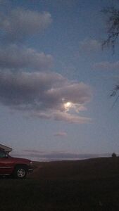 Maddy ᖭི༏ᖫྀ 