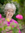 Beth Kaplan | 2 comments