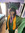 arwa gulzar