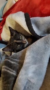 Rhiannon Marie Jimenez 