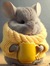 Romy Lu
