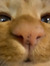 denise_shr