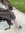 kylee