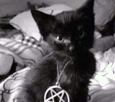 leah⋆｡⋆୨୧˚