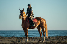 leslectures_decharlotte