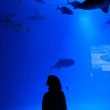 Benedetta Di Martino